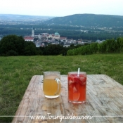 3400 - Blick auf Klosterneuburg