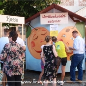 3620 - Marillenknödelautomat