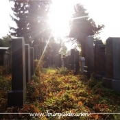 1110 - Zentralfriedhof, alter jüdischer Teil, abends