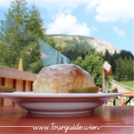 2734  - Schneeberg, Haltestelle Baumgartner, Buchtel