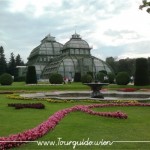 1130 - Schönbrunn, Palmenhaus